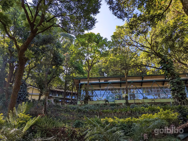 Areca Haven by Trusten gallery 2